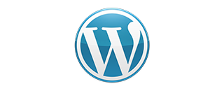 WordPress Development Services-Connect Infosoft Technologies Pvt. Ltd