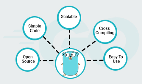 Benefits of Using Golang | Connect Infosoft Technologies