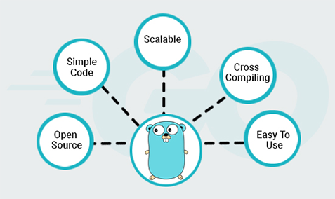 Benefits of Using Golang-Connect Infosoft Technologies Pvt.Ltd