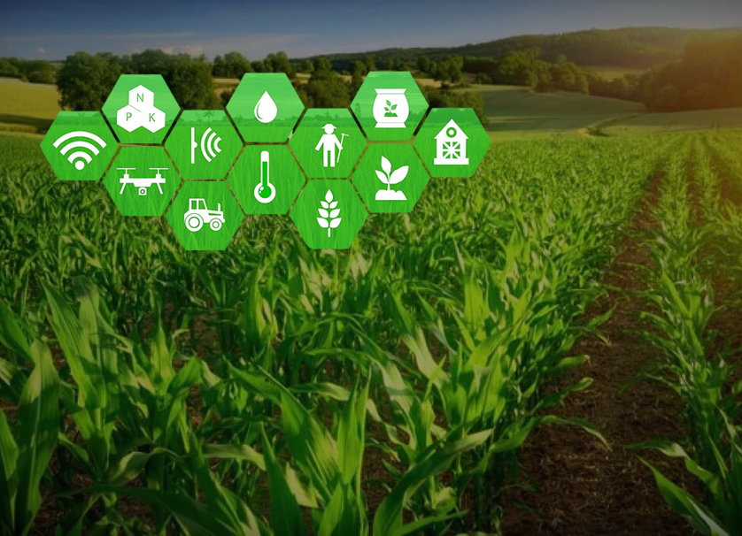 IT Solutions for the Agricultural Industry at connect Infosoft