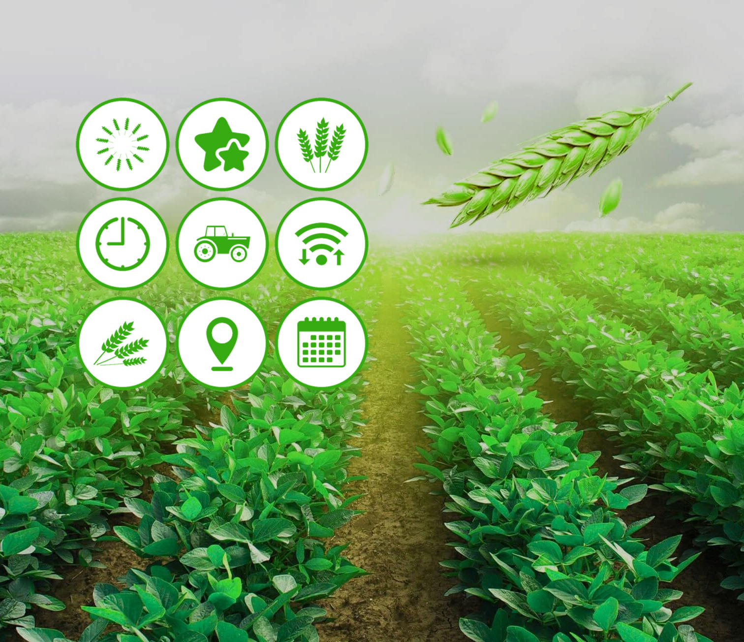 IT Solutions for the Agricultural Industry at connect Infosoft
