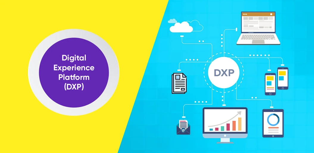 Digital Experience Platforms | Connect Infosoft Technologies