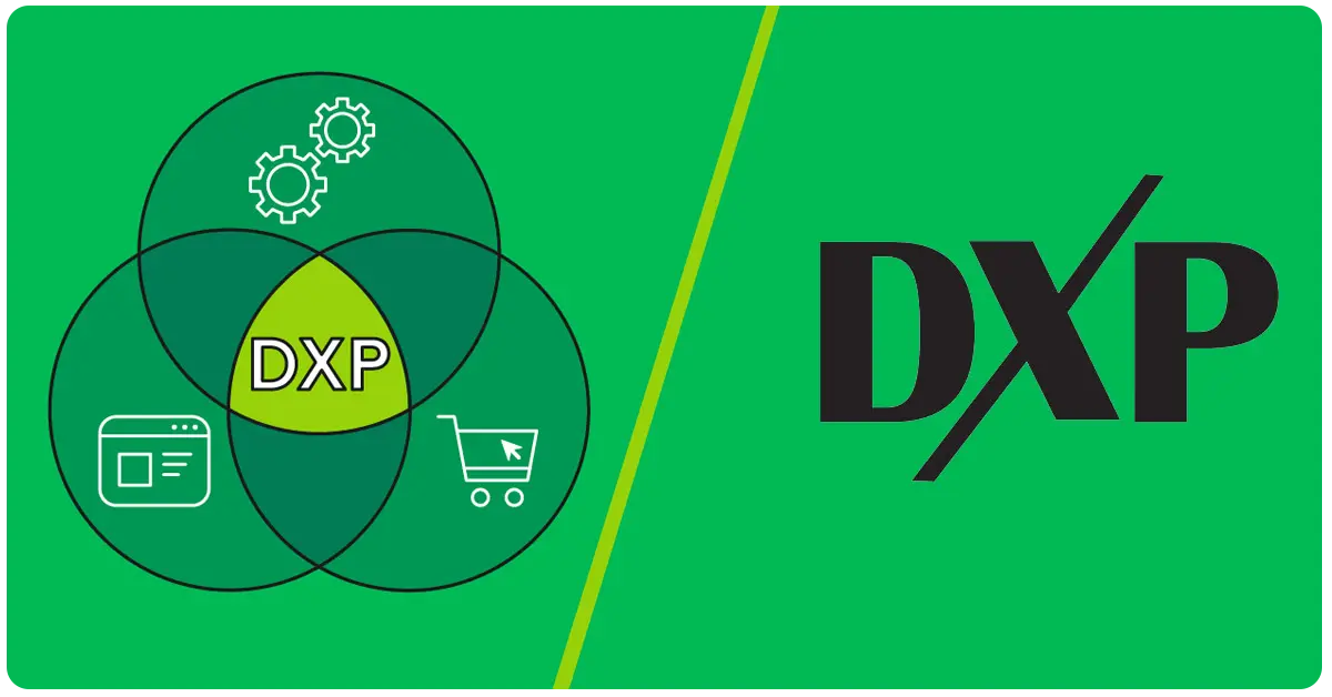 Connect Infosoft Technologies for DXP Excellence