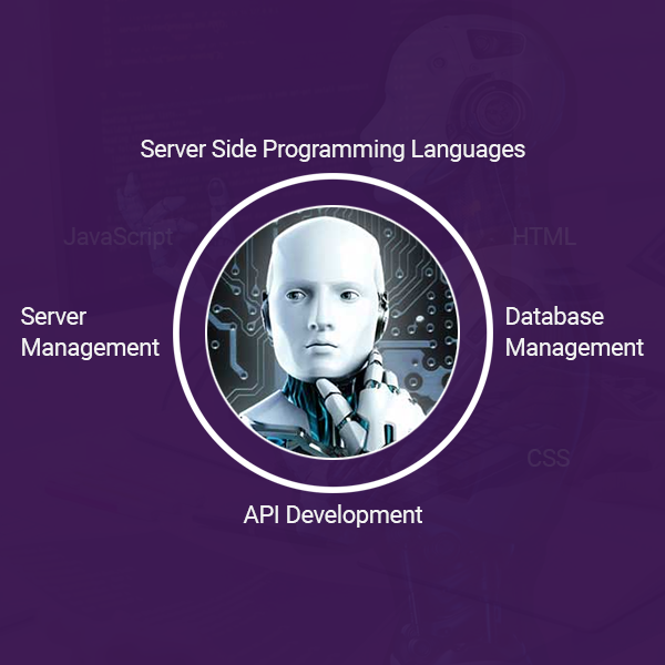 AI Web Application Development in 2024  | Connect Infosoft