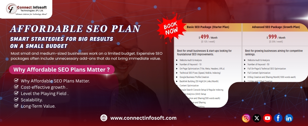 Affordable SEO Plans: Smart Strategies for Big Results on a Small Budget | Connect Infosoft
