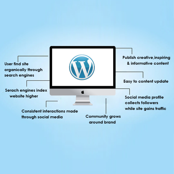 WordPress An Excellent Platform For Search Optimization Of Your Business Website | Connect Infosoft