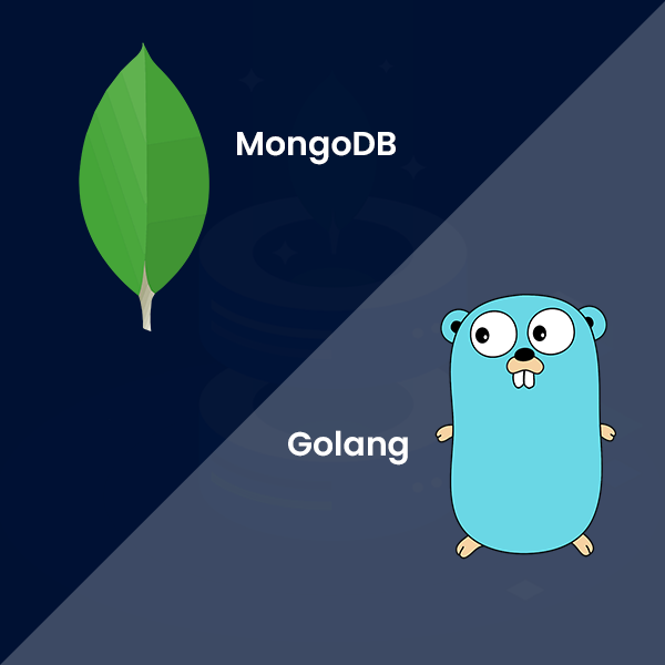 How to connect the Golang app with MongoDB | Connect Infosoft